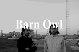 BARN-OWL