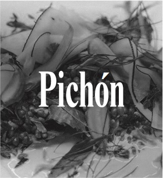 pichón