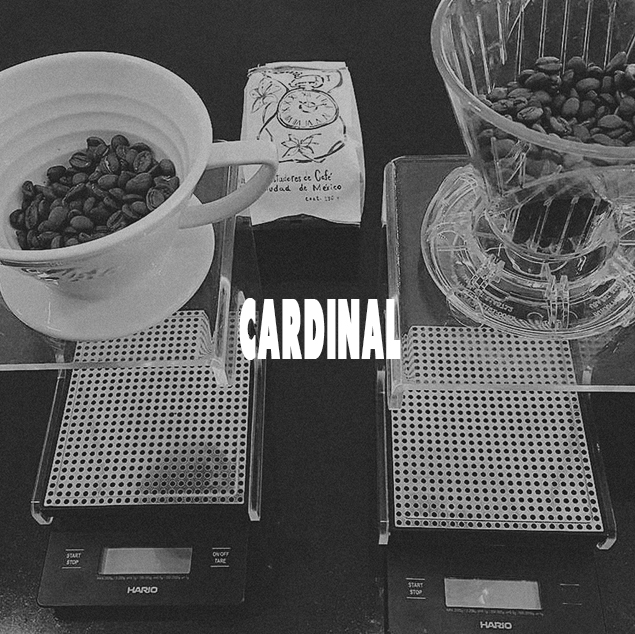 FN-CARDINAL
